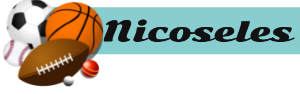 Nicoseles site logo